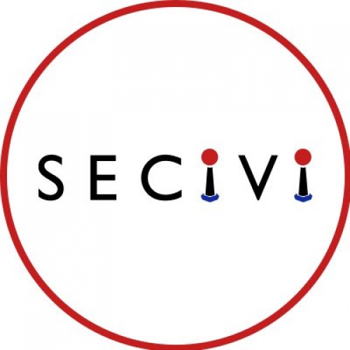 Sociedad Española para las Ciencias del Videojuego (SECiVi)