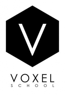 Voxel School