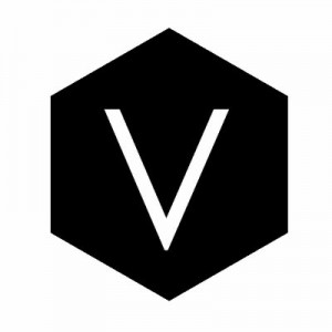 Voxel School