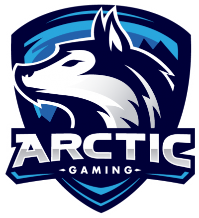 Logo de Arctic Gaming