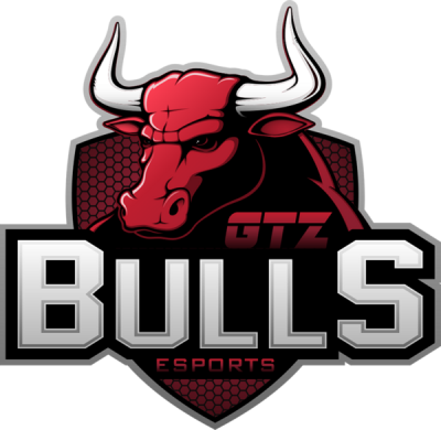 Logo de GTZ Bulls