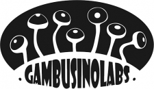 Gambusino Labs