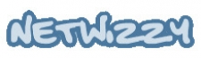 The Netwizzy Company