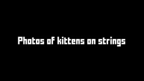 Ver Selection Process trailer